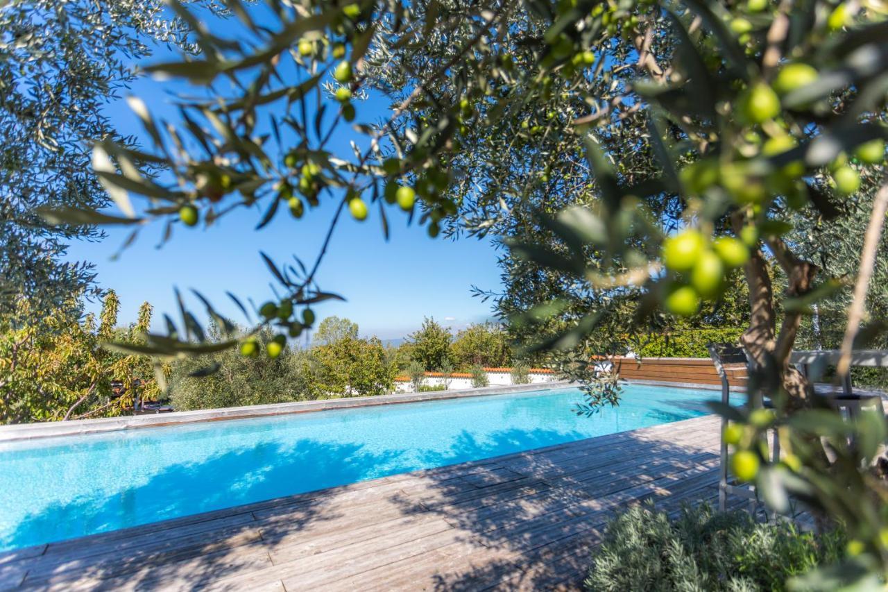 Villa Emi Zgornje Skofije Zewnętrze zdjęcie
