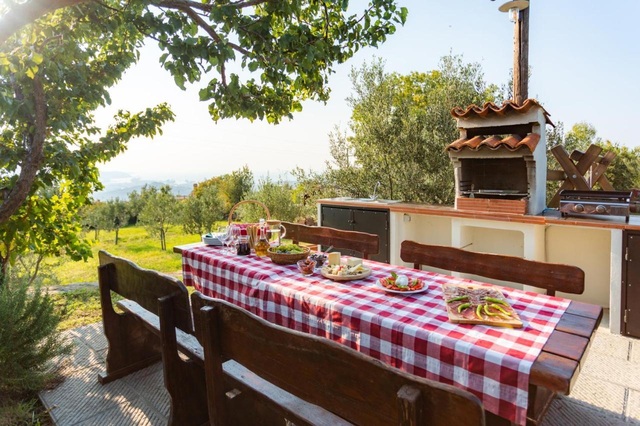 Villa Emi Zgornje Skofije Zewnętrze zdjęcie